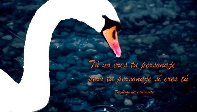 pharodelogos decalogo del caminante